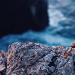 closeup photo of rock