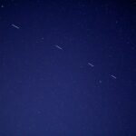 birds flying in the sky during night time