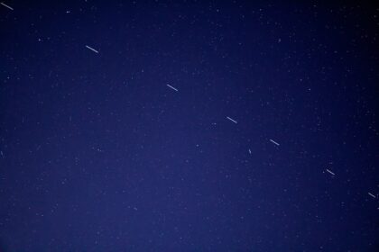 birds flying in the sky during night time