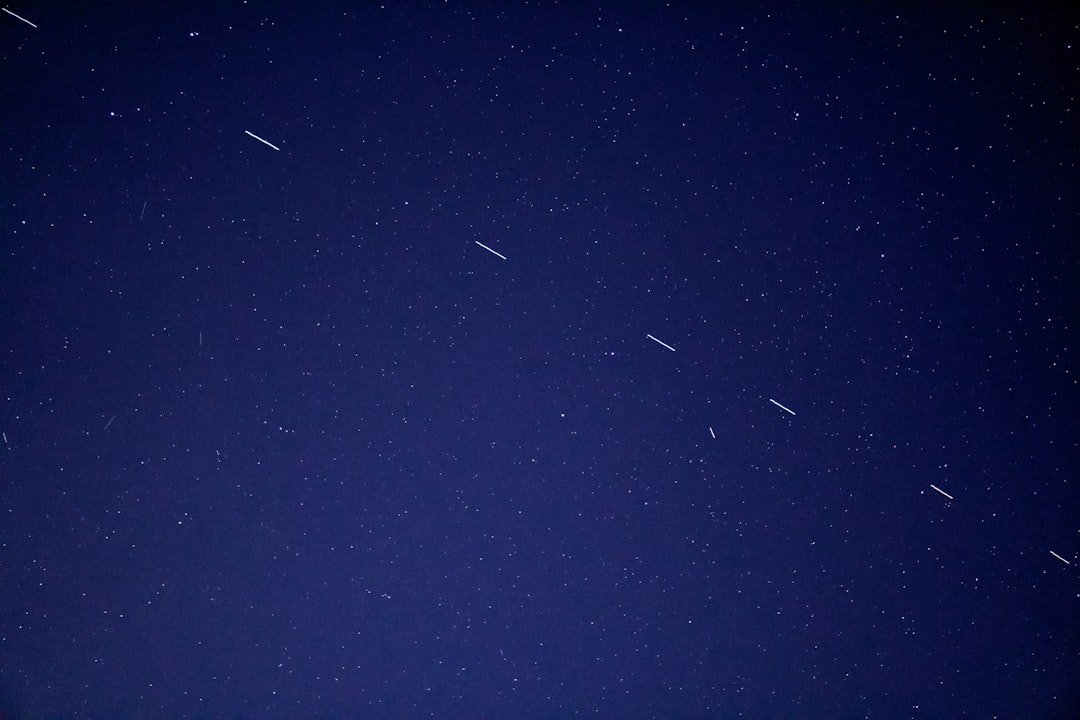 birds flying in the sky during night time