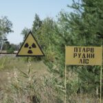 yellow and black road sign