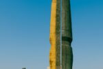 A man walks past a monumental sculpture.