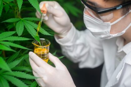 CBD, France, cannabis, regulation, ban