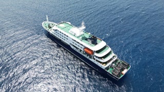 hantavirus, cruise ship, outbreak, WHO, rodent