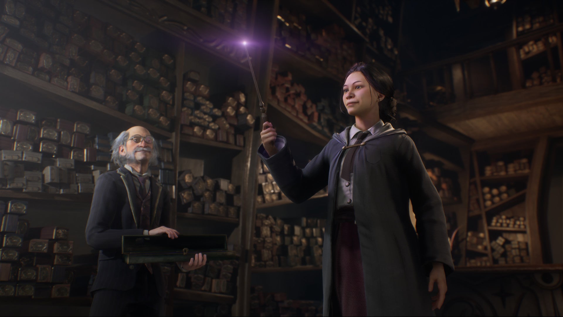 Hogwarts Legacy, Harry Potter, video game sequel