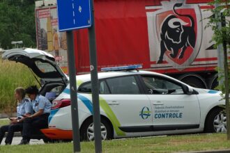 man in black jacket sitting on white car