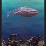 whale, Ile de Ré, marine life