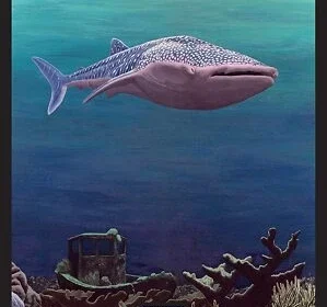 whale, Ile de Ré, marine life