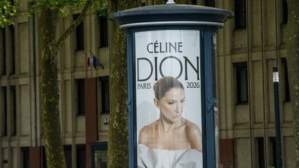 Céline Dion, Paris, concerts
