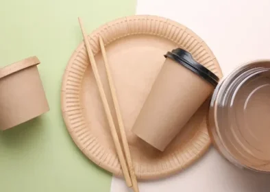 plastic cutlery ban, school canteens, environmental impact, reusable tableware, biodegradable materials