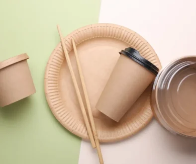 plastic cutlery ban, school canteens, environmental impact, reusable tableware, biodegradable materials