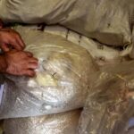 captagon, Syria, drug trafficking