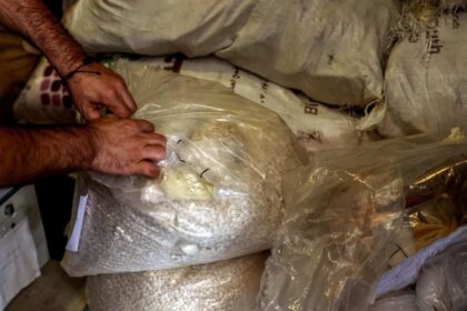 captagon, Syria, drug trafficking