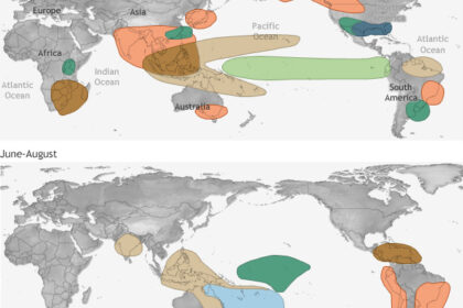 El Niño, climate change, oceanography, extreme weather