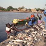 People are buying and selling fish by the water.
