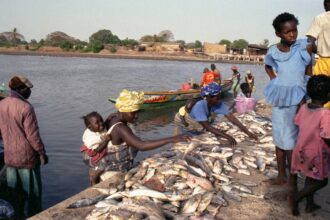 People are buying and selling fish by the water.