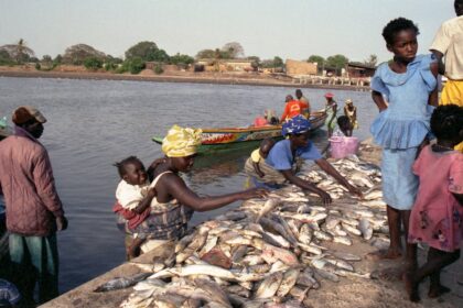 People are buying and selling fish by the water.