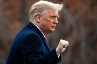 Dena Karari, Iran, Donald Trump, diplomacy, politics
