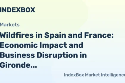 wildfires, economy, businesses, Gironde