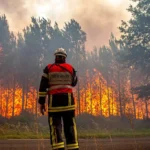 forest fires, firefighters, climate change, Gironde, France