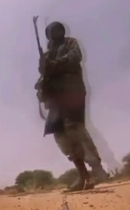Niger, terrorism, Sahel, ambush, soldiers