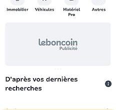 Leboncoin, panne, application, site web, dysfonctionnement