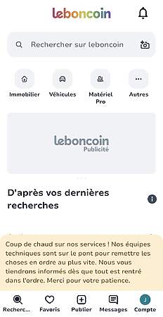 Leboncoin, panne, application, site web, dysfonctionnement