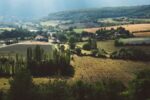 aerial view of trees and farm