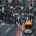 people walking in pedestrian lanes