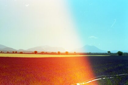 the sun is shining brightly over a field