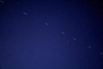 birds flying in the sky during night time