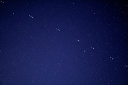 birds flying in the sky during night time