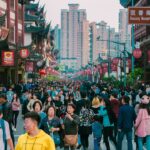 people walking on street during daytime