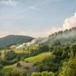 a landscape with trees and hills