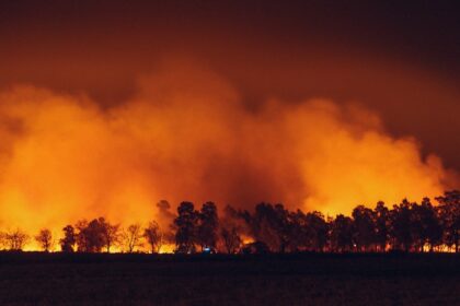 a large fire burning in a field next to a forest