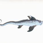 A fantastical sea creature with a long, patterned body.