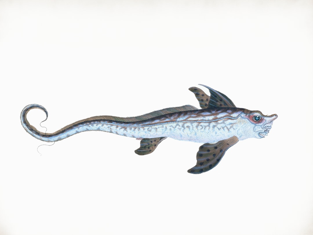 A fantastical sea creature with a long, patterned body.