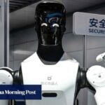 humanoid robots, China, USA, national security, technology ban