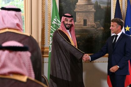Dragon Ball, theme park, France, Saudi Arabia, intellectual property rights