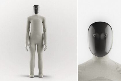 robot, humanoid, SoftBank, AI, domestic