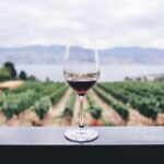 clear wine glass overlooking orchard during daytime