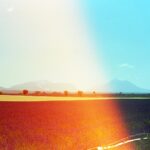the sun is shining brightly over a field