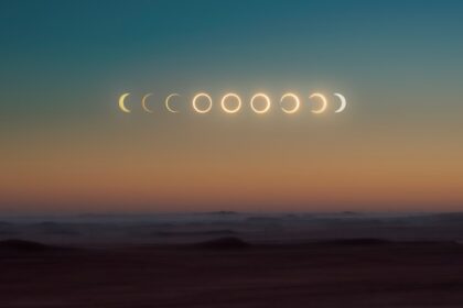 i love you to the moon