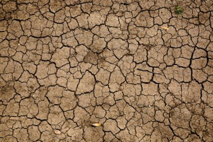 Dry brown earth with a network of deep cracks across the surface