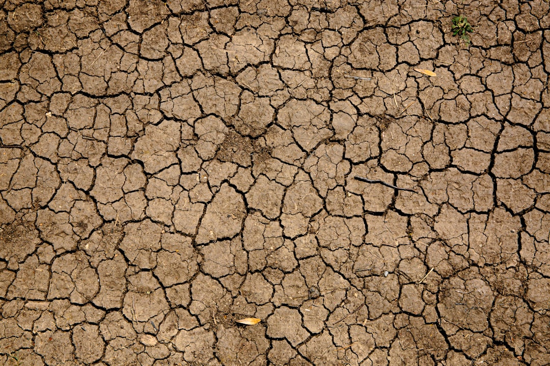 Dry brown earth with a network of deep cracks across the surface