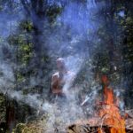a man standing in front of a fire in the woods