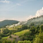 a landscape with trees and hills