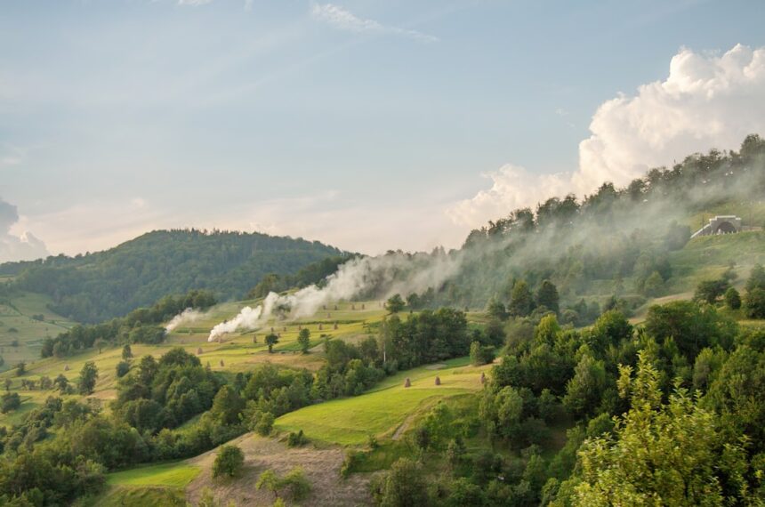 a landscape with trees and hills