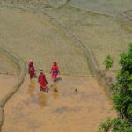 a group of people walking across a muddy field